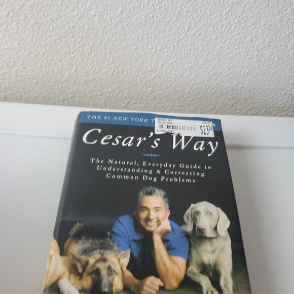 Cesars Way The Natural, Everyday Guide To Dog Cesar Millan & Melisa Jo Peltier - Picture 1 of 14